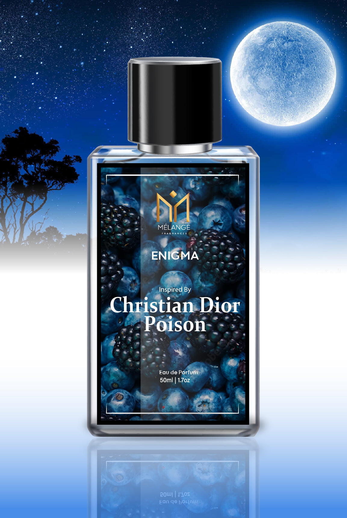 ENIGMA- Inspired By Christian Dior Poison